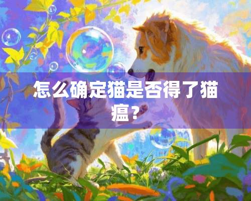 怎么确定猫是否得了猫瘟？