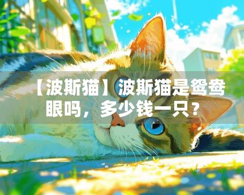 【波斯猫】波斯猫是鸳鸯眼吗，多少钱一只？