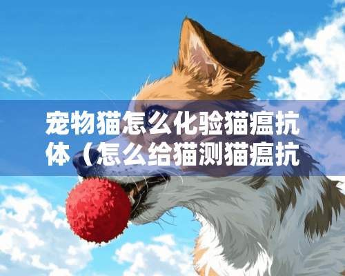 宠物猫怎么化验猫瘟抗体（怎么给猫测猫瘟抗体）