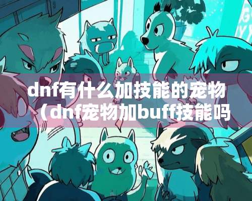 dnf有什么加技能的宠物（dnf宠物加buff技能吗）