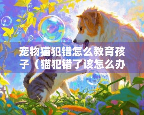 宠物猫犯错怎么教育孩子（猫犯错了该怎么办）