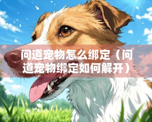 问道宠物怎么绑定（问道宠物绑定如何解开）