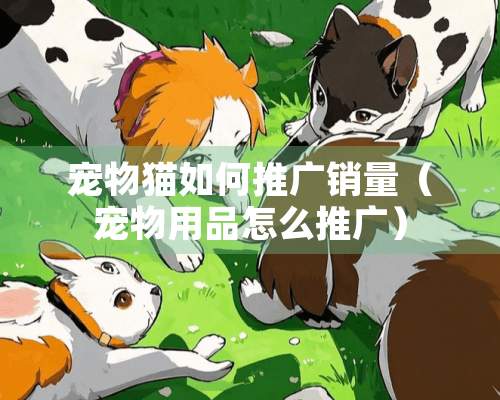 宠物猫如何推广销量（宠物用品怎么推广）