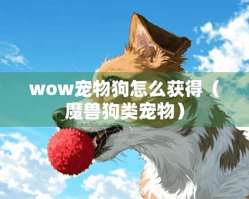 wow宠物狗怎么获得（魔兽狗类宠物）