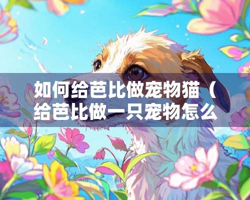 如何给芭比做宠物猫（给芭比做一只宠物怎么做）