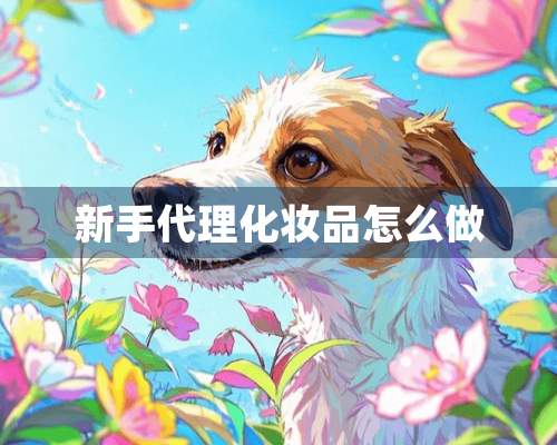 新手代理化妆品怎么做