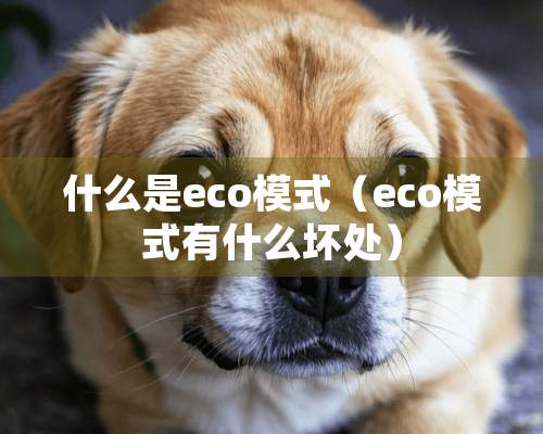 什么是eco模式（eco模式有什么坏处）