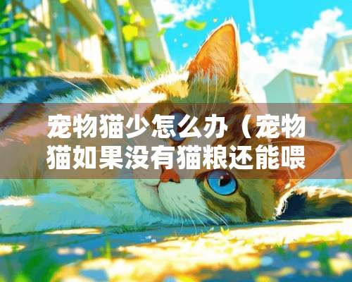 宠物猫少怎么办（宠物猫如果没有猫粮还能喂什么）