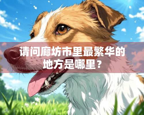 请问廊坊市里最繁华的地方是哪里？