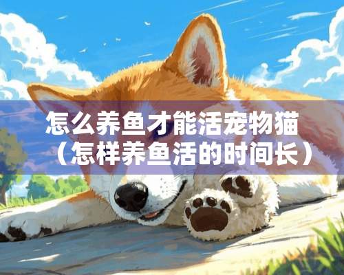 怎么养鱼才能活宠物猫（怎样养鱼活的时间长）