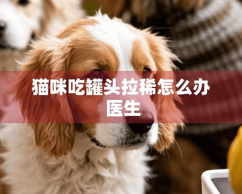 猫咪吃罐头拉稀怎么办 医生