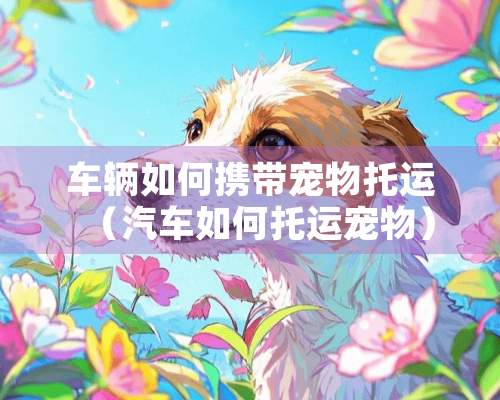 车辆如何携带宠物托运（汽车如何托运宠物）