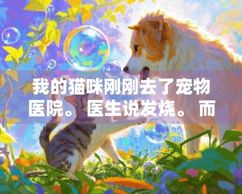 我的猫咪刚刚去了宠物医院。 医生说发烧。 而且是41度。