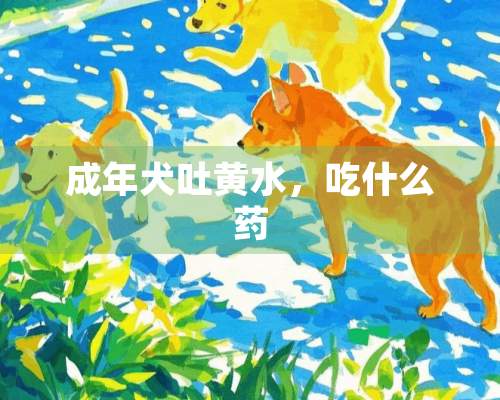 成年犬吐黄水，吃什么药