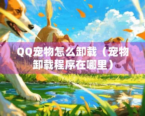 QQ宠物怎么卸载（宠物卸载程序在哪里）