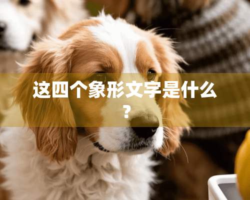 这四个象形文字是什么？