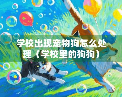 学校出现宠物狗怎么处理（学校里的狗狗）