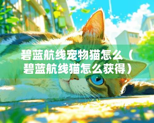 碧蓝航线宠物猫怎么（碧蓝航线猫怎么获得）