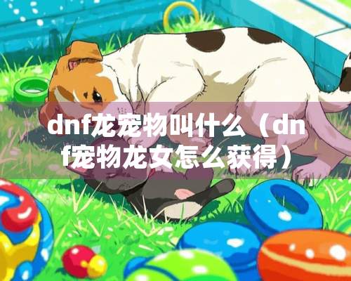 dnf龙宠物叫什么（dnf宠物龙女怎么获得）