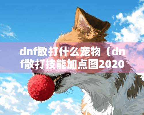 dnf散打什么宠物（dnf散打技能加点图2020）