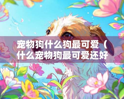 宠物狗什么狗最可爱（什么宠物狗最可爱还好看）