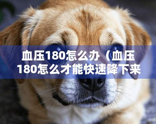 血压180怎么办（血压180怎么才能快速降下来）