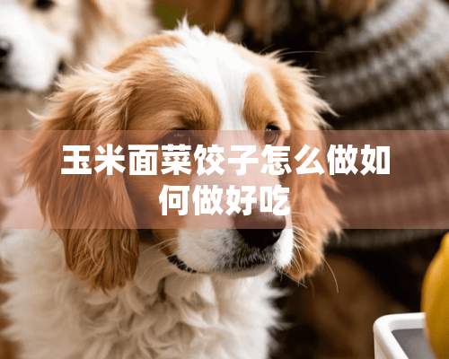 玉米面菜饺子怎么做如何做好吃