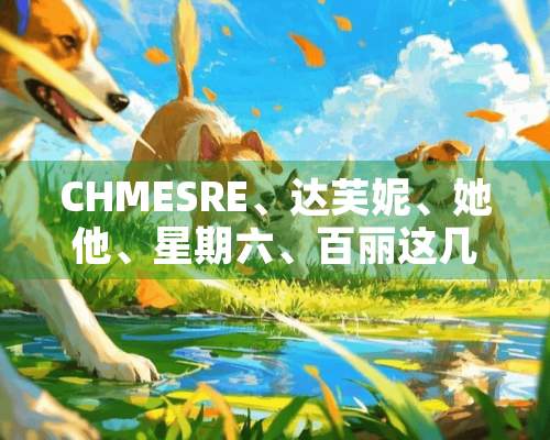 CHMESRE、达芙妮、她他、星期六、百丽这几个牌子旳女鞋质量怎么样？