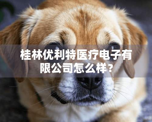 桂林优利特医疗电子有限公司怎么样？