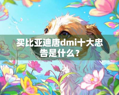 买比亚迪唐dmi十大忠告是什么？