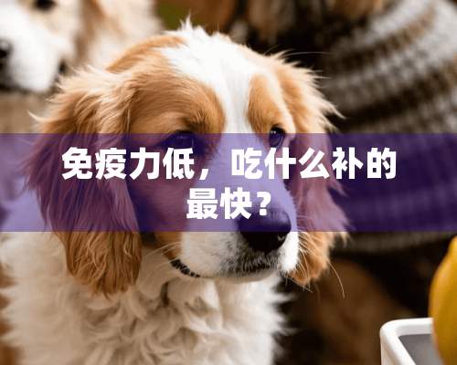 免疫力低，吃什么补的最快？