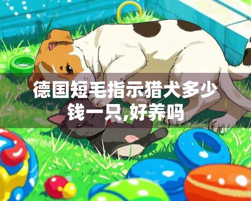 德国短毛指示猎犬多少钱一只,好养吗