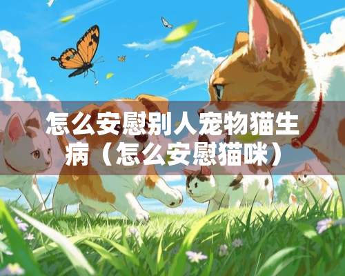 怎么安慰别人宠物猫生病（怎么安慰猫咪）