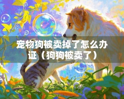 宠物狗被卖掉了怎么**（狗狗被卖了）