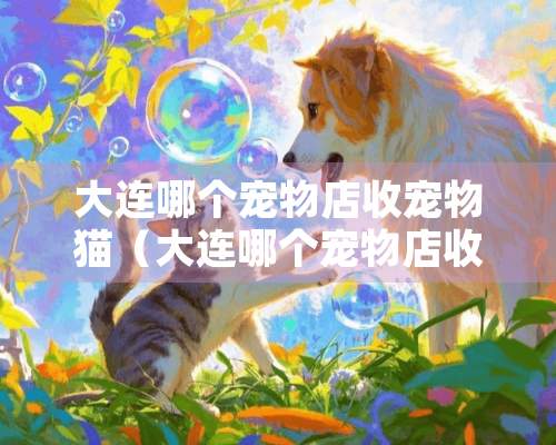 大连哪个宠物店收宠物猫（大连哪个宠物店收宠物猫狗）