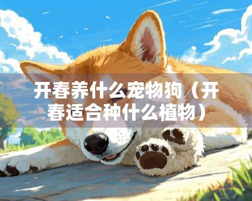 开春养什么宠物狗（开春适合种什么植物）