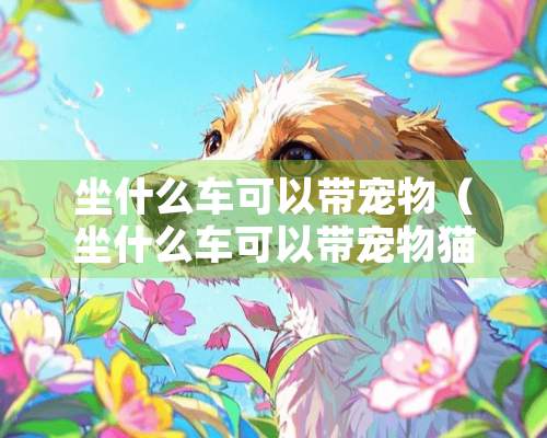 坐什么车可以带宠物（坐什么车可以带宠物猫）