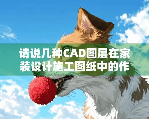 请说几种CAD图层在家装设计施工图纸中的作用