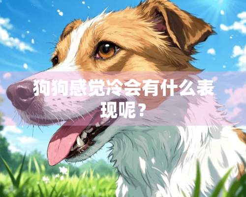 狗狗感觉冷会有什么表现呢？