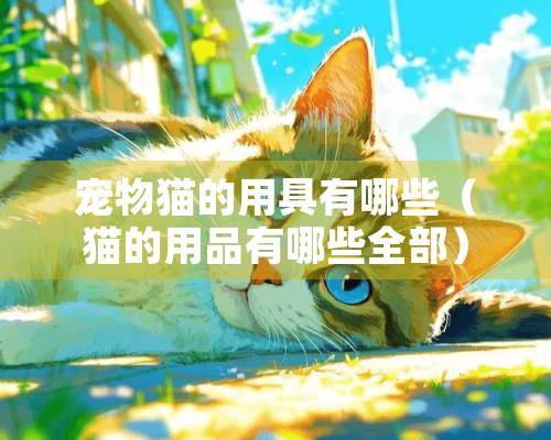 宠物猫的用具有哪些（猫的用品有哪些全部）