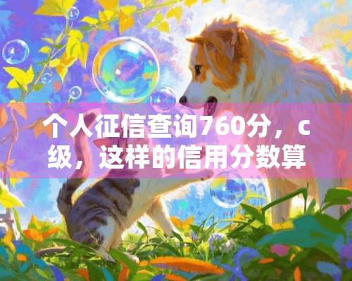 个人征信查询760分，c级，这样的信用分数算什么意思