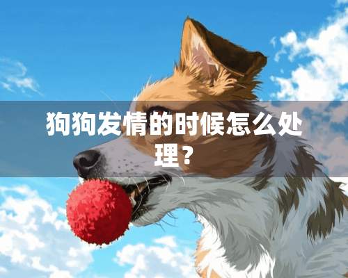 狗狗发情的时候怎么处理？