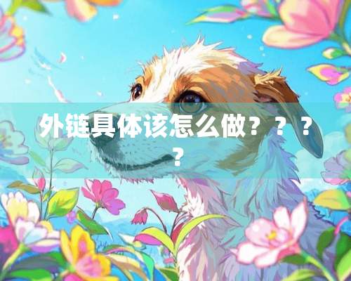 外链具体该怎么做？？？？