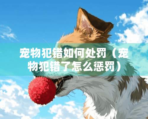 宠物犯错如何处罚（宠物犯错了怎么惩罚）