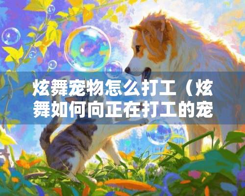 炫舞宠物怎么打工（炫舞如何向正在打工的宠物发起挑战）