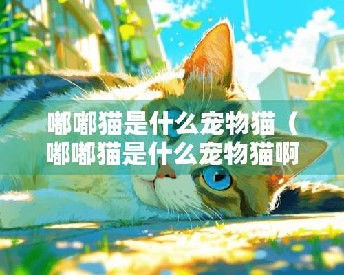 嘟嘟猫是什么宠物猫（嘟嘟猫是什么宠物猫啊）