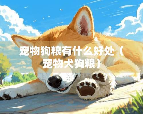 宠物狗粮有什么好处（宠物犬狗粮）