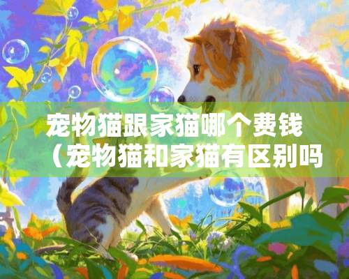 宠物猫跟家猫哪个费钱（宠物猫和家猫有区别吗）