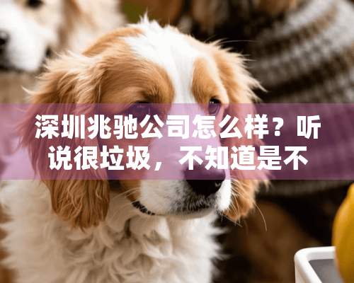 深圳兆驰公司怎么样？听说很垃圾，不知道是不是真的？