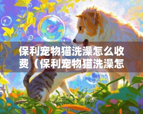 保利宠物猫洗澡怎么收费（保利宠物猫洗澡怎么收费的）